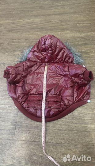 Одежда для маленьких собак