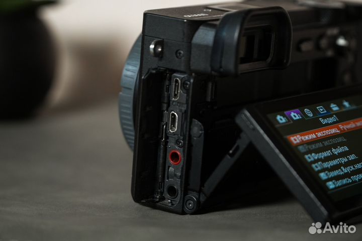 Sony a6600 body