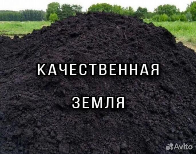 Чернозем плодородная земля