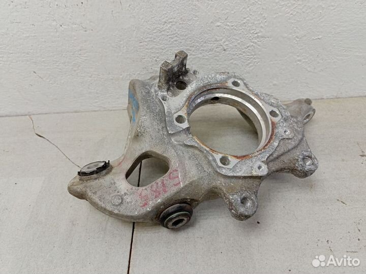 Кулак задний левый