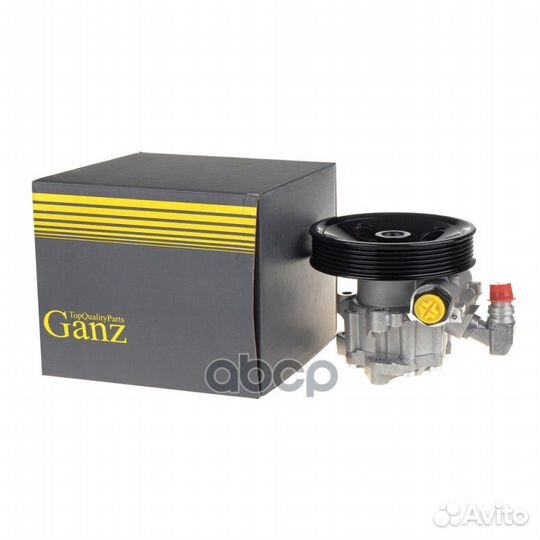 Насос гура GIL02011 ganz