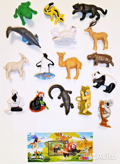 Обмен kinder natoons 2023-2024