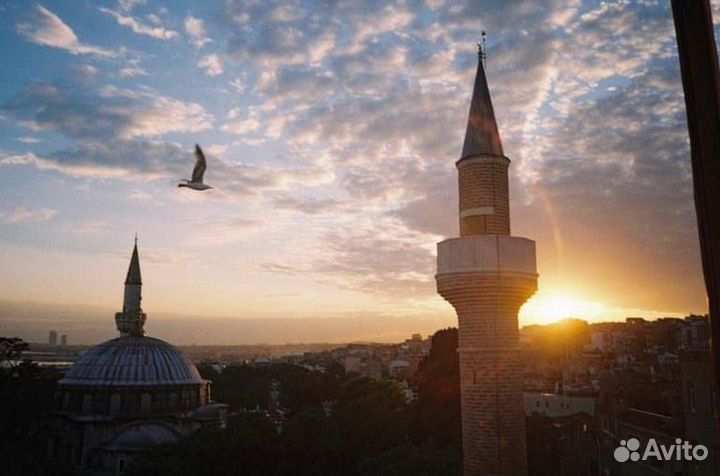 Пленочный фотоаппарат Premier M-700