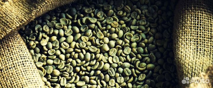 Оптовый товар Зеленая Арабика на заказ