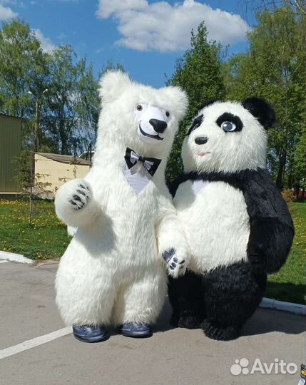 Панда аэрокуклы и ростовые.Поздравления Тула