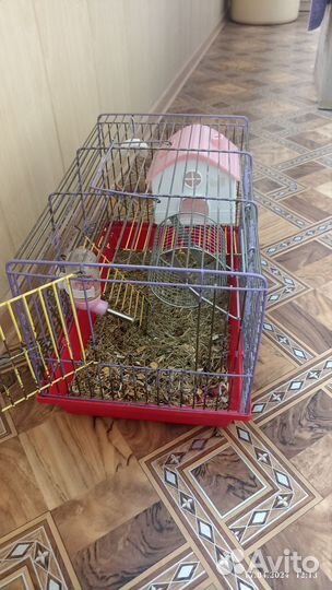 Клетка для хомяка