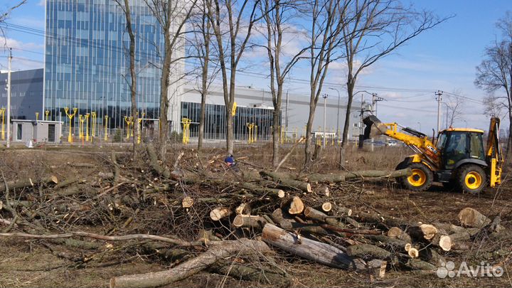Расчистка участков, спил деревьев