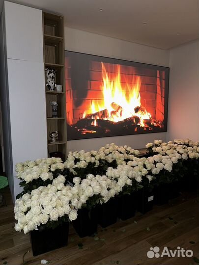 Фото с цветами 500