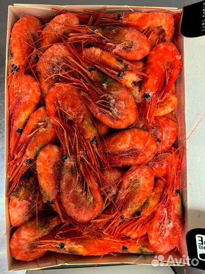 Оптом Креветки