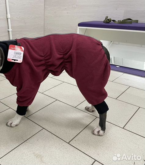 Дождевик для собак