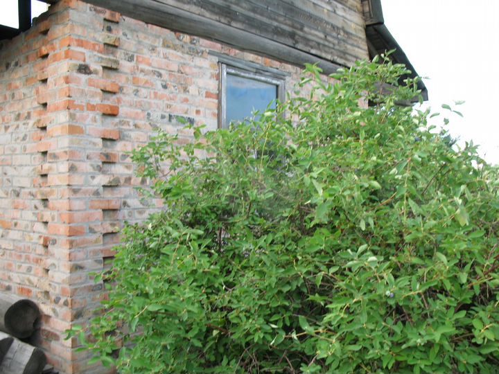 Дача 51 м² на участке 6 сот.