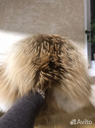 Шапка из лисы