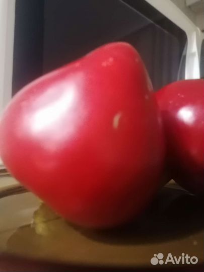 Семена сладкого перца