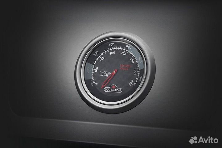 Газовый гриль Napoleon Freestyle 365
