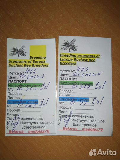 Бакфаст, Карника матки F1