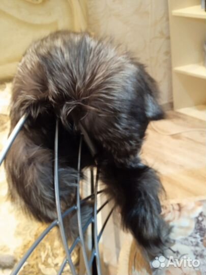 Продам шапку