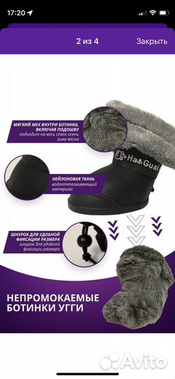 Ботинки для собак