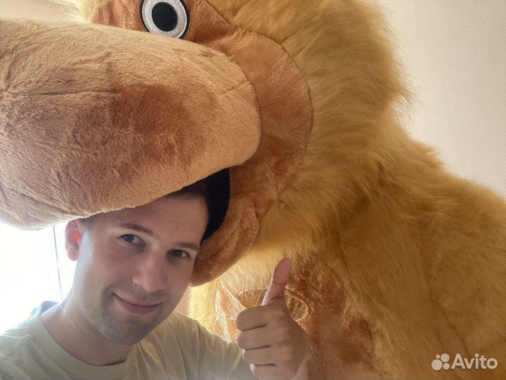 Надувной костюм медведя и пнады