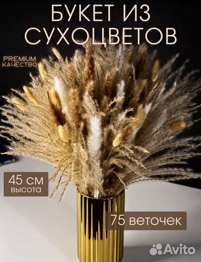 Сухоцветы букет