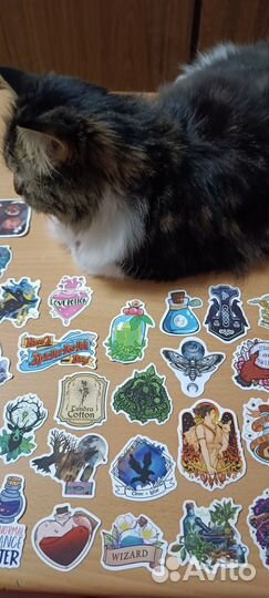 Любимый стикерпак моей кошки