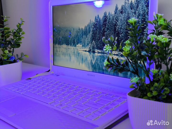 Ноутбук sony vaio : Intel / RAM 8GB / Nvidia GeFor