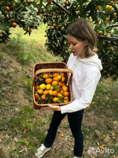 Джип тур Абхазия ежедневно, озеро Рица
