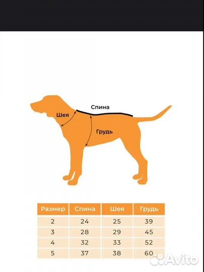 Зимний комбинезон для собаки