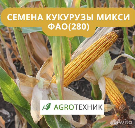 Микси семена кукурузы