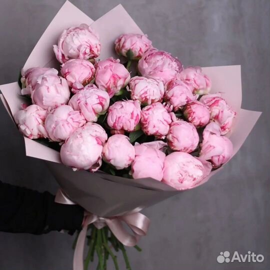 Пион Сара Бернар Букет Пион Краснодар