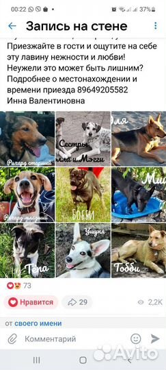 Ищем единомышленников