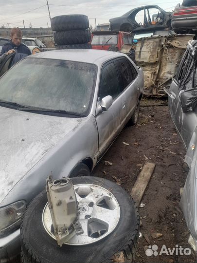 В разбор sprinter 110