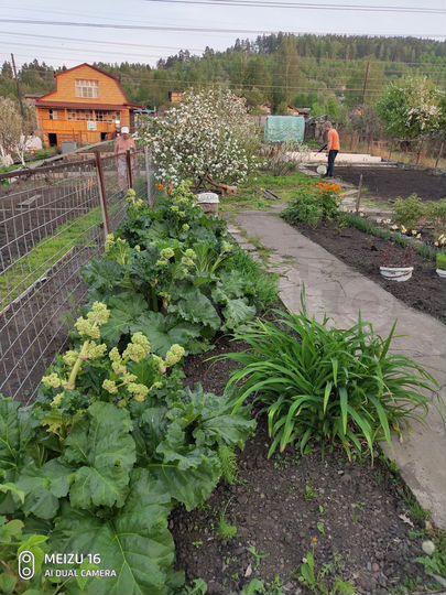 Дача 16 м² на участке 8 сот.