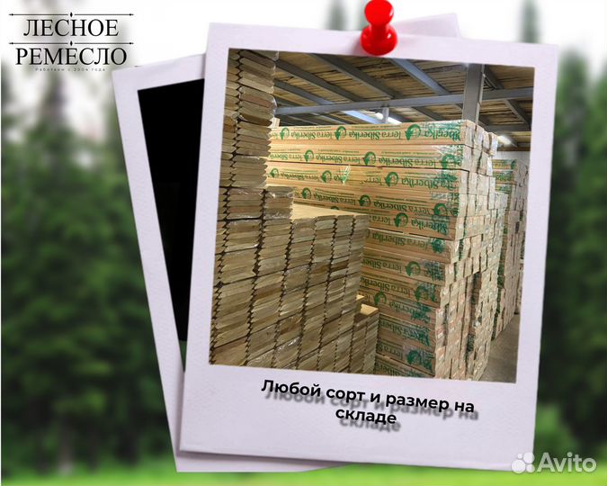 Палубная доска