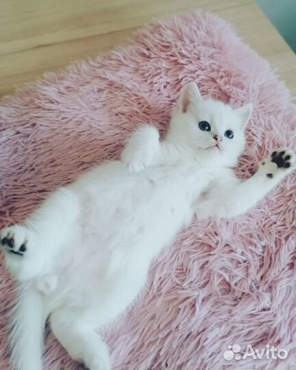 Мальчик с голубыми глазками