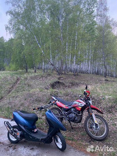 Honda dio 34
