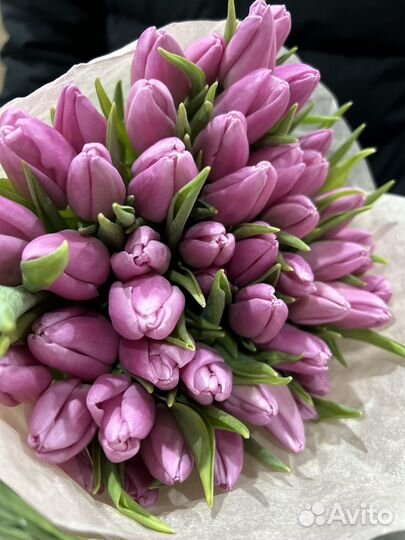 Тюльпаны к 8 марта розница