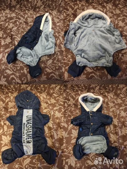 Одежда для собак