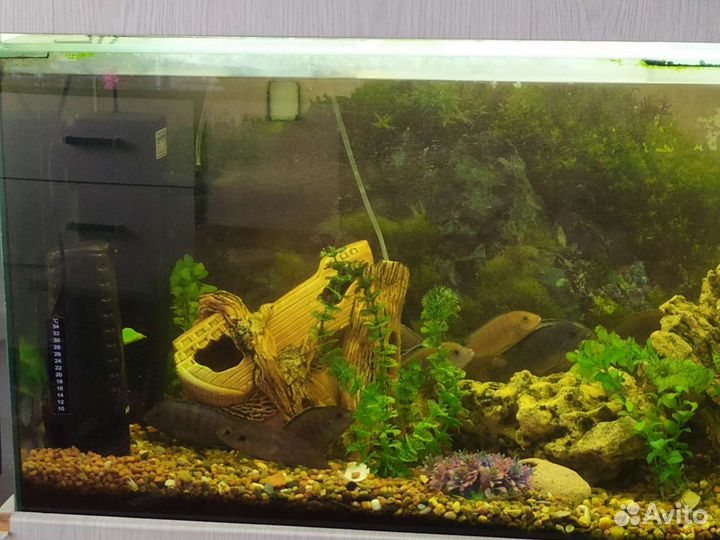 Аквариум с тумбой
