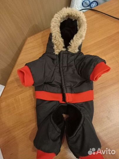 Одежда для собак мелких пород