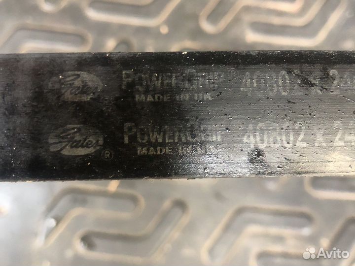 Ремень Г. Р. М. Opel vectra