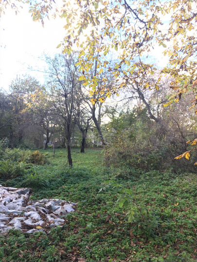 Участок 9,5 сот. (ИЖС)