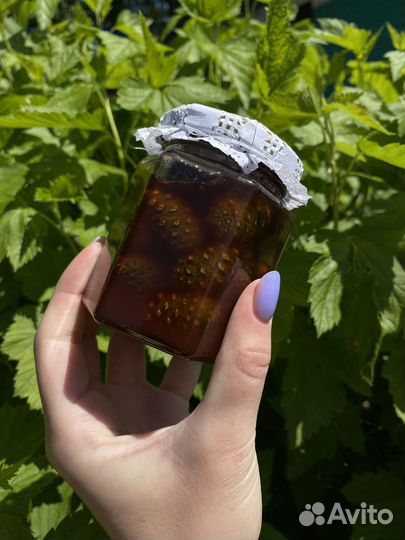 Варенье из сосновой шишки