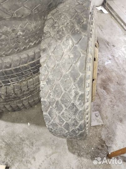 КАМА И-281 10.00/20 R20