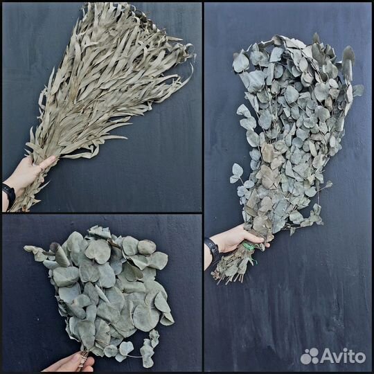 Эвкалипт для бани