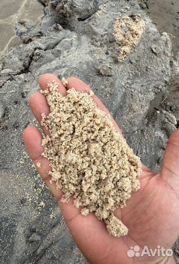 Песко соль