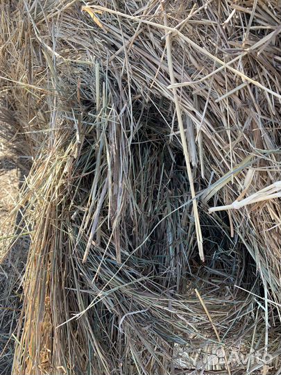 Сено в рулонах
