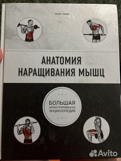 Книга анатомия наращивание мышц