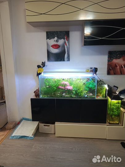 Аквариум 100л
