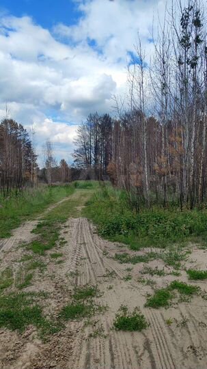 Участок 1,11 га (СНТ, ДНП)