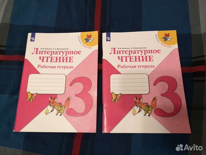 Тетради рабочие 2 и 3 класс